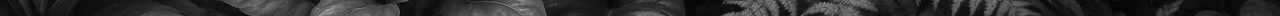 Rilhax footer image
